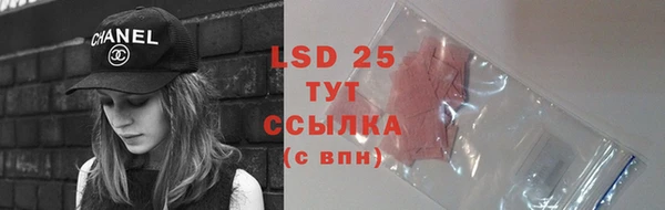 ПСИЛОЦИБИНОВЫЕ ГРИБЫ Киренск