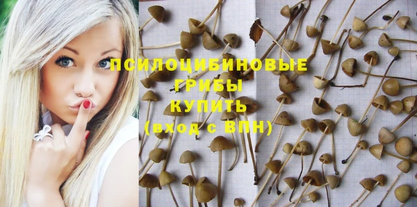 амфетамин Киреевск