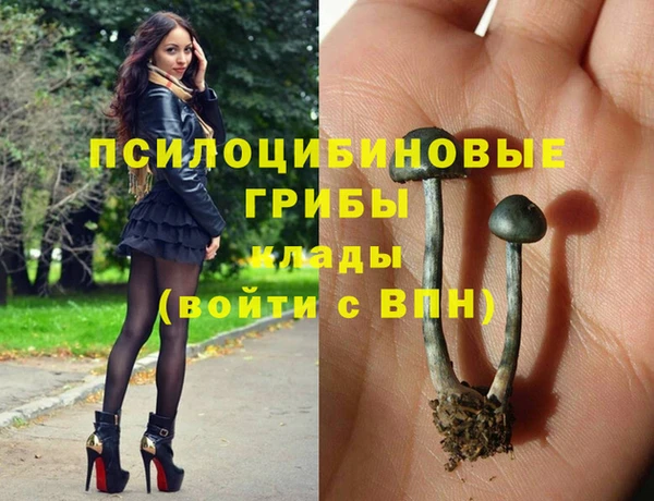 ПСИЛОЦИБИНОВЫЕ ГРИБЫ Киренск