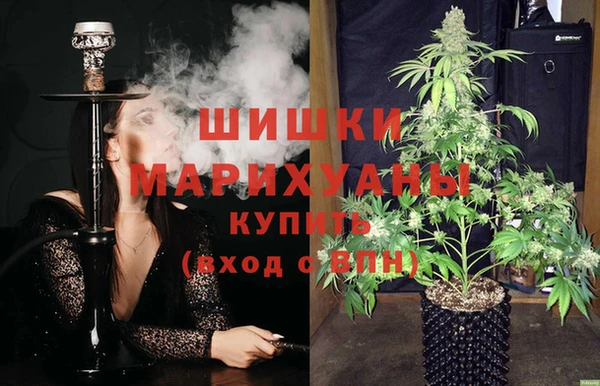 ПСИЛОЦИБИНОВЫЕ ГРИБЫ Киренск