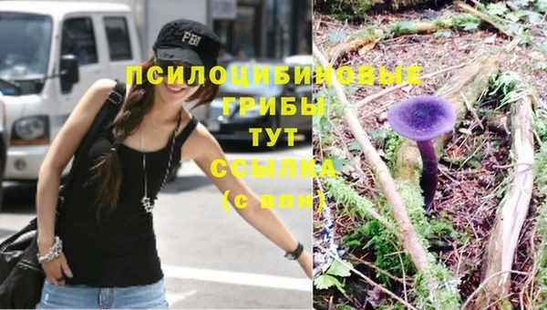 ПСИЛОЦИБИНОВЫЕ ГРИБЫ Киренск