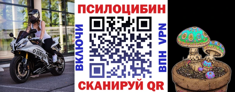Псилоцибиновые грибы Magic Shrooms  Купить где  Жигулёвск 